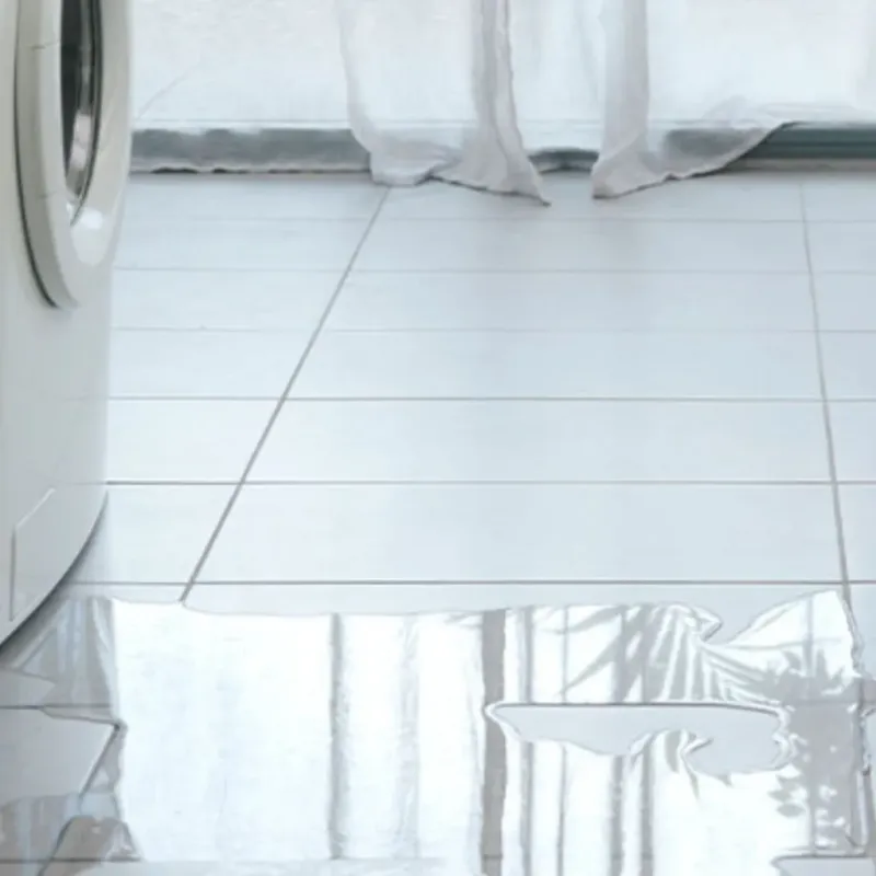 Appliance Leak Cleanup in Spartanburg County, SC
