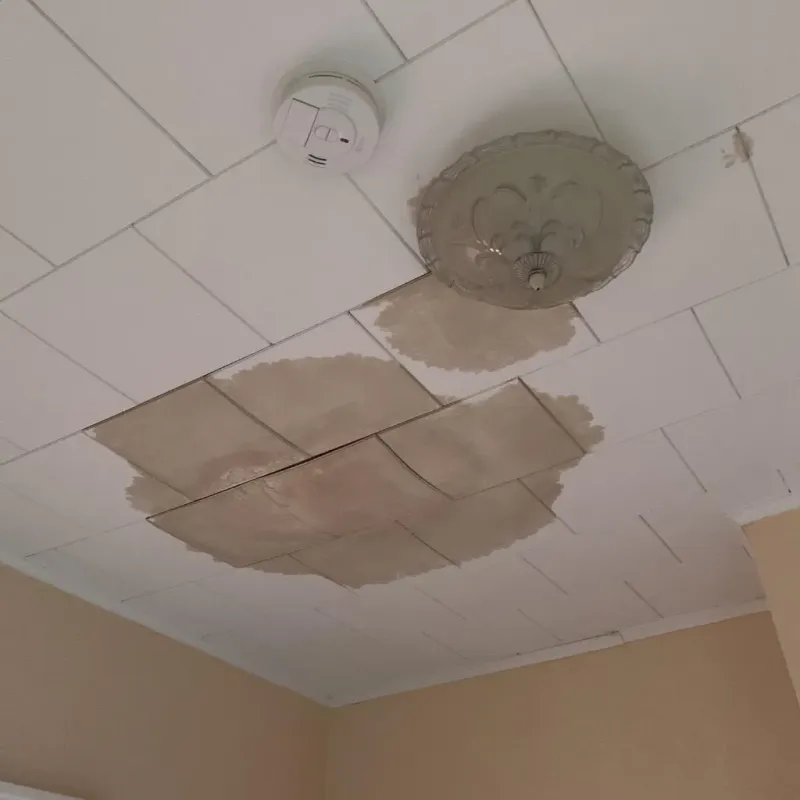 Ceiling Water Damage Repair in Spartanburg County, SC