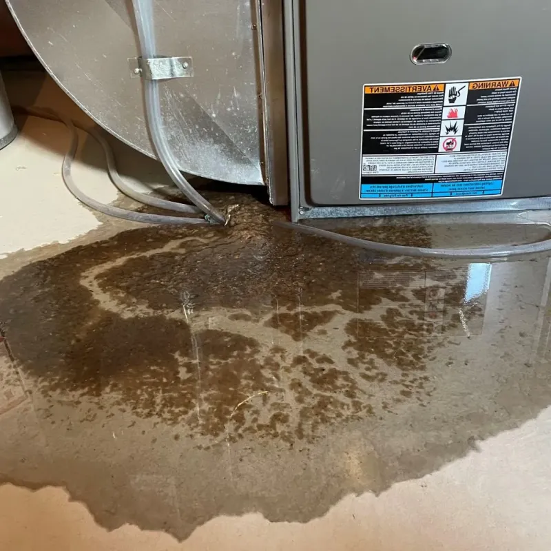 Pipe Burst and Leak Restoration in Spartanburg County, SC